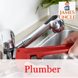 Plumber Mr. Biplab Mondal in Haraipur